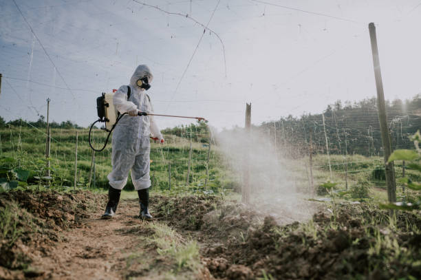 Best Termite Control Services  in Marshallton, PA