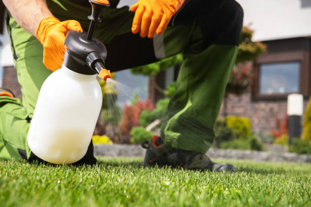 Best Local Pest Control Services  in Marshallton, PA